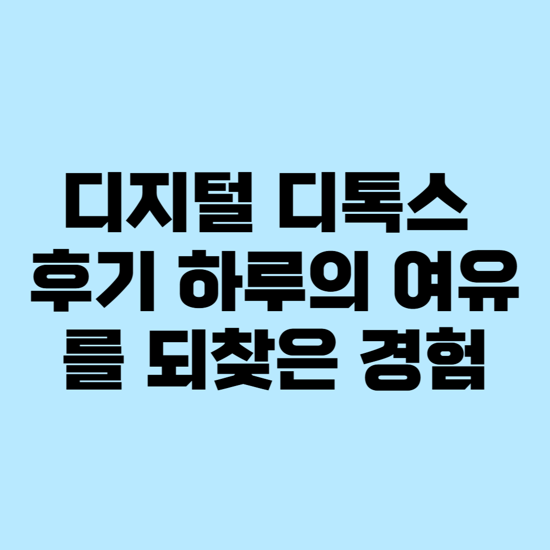 디지털 디톡스 후기
